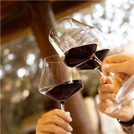 calice vino rosso